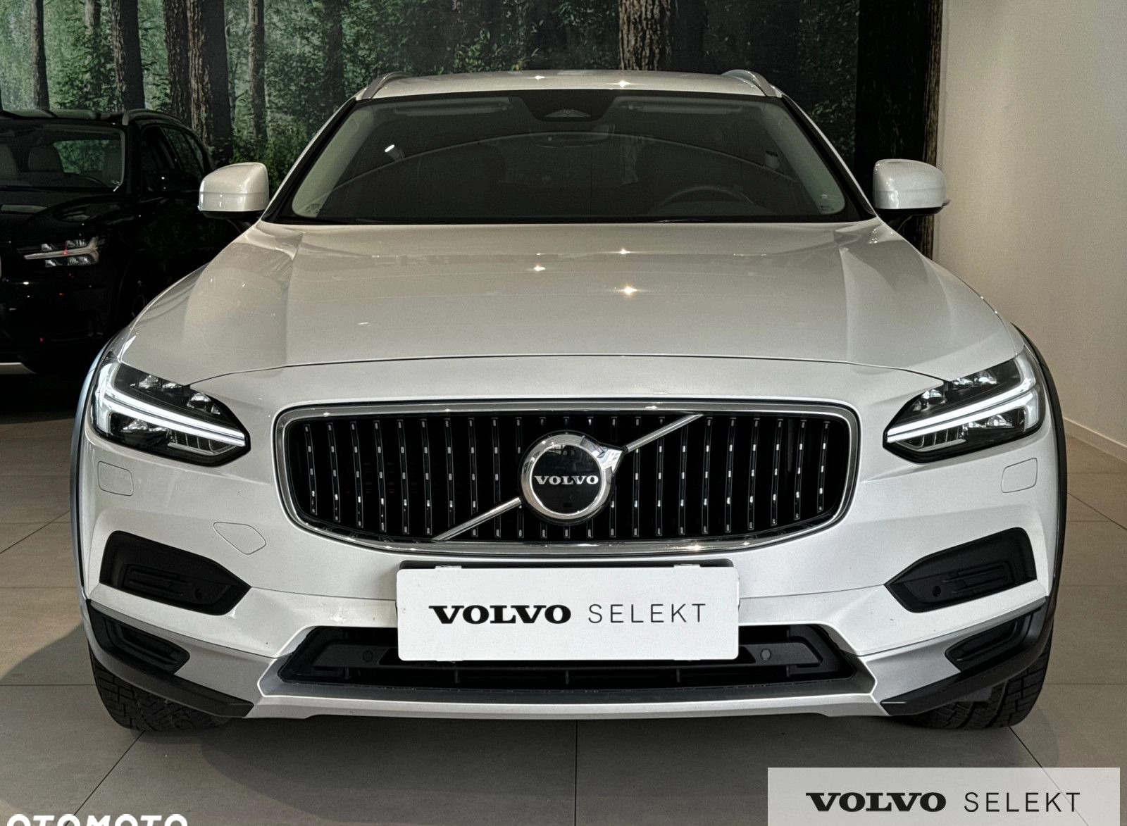 Volvo V90 Cross Country cena 224900 przebieg: 53700, rok produkcji 2022 z Prabuty małe 277